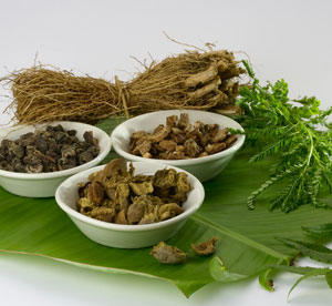 ayurvedic treatment